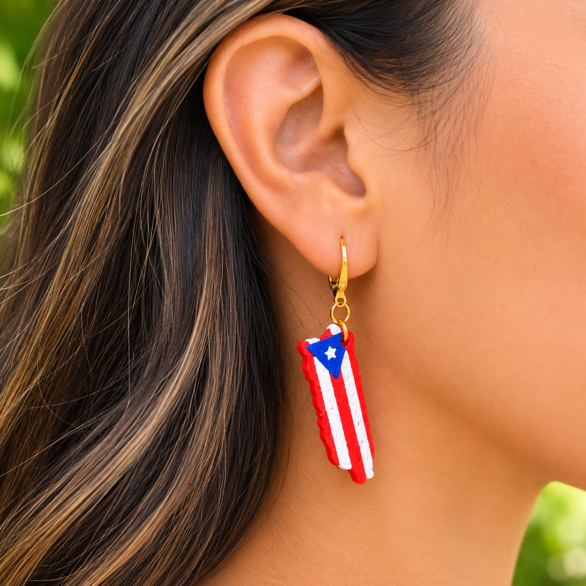 Puerto Rico Flag earrings